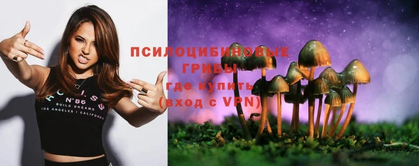 трава Киренск