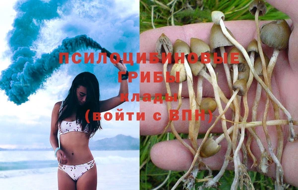 кокс Карпинск