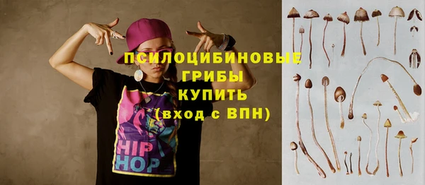 spice Кинешма