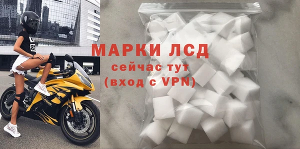 стафф Кодинск