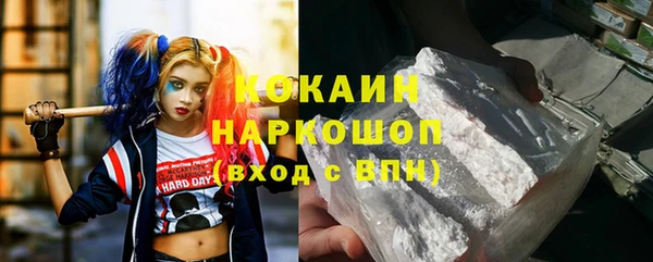стафф Кодинск