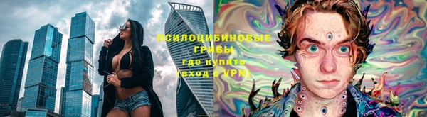 a pvp Козловка